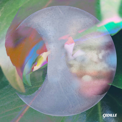 现实中女生被男生强奸的视频
